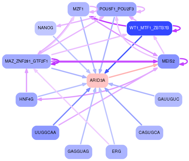 PNG image of the network