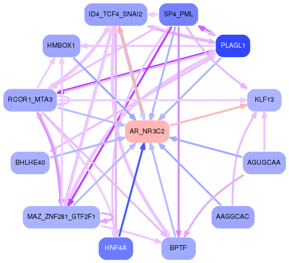 PNG image of the network