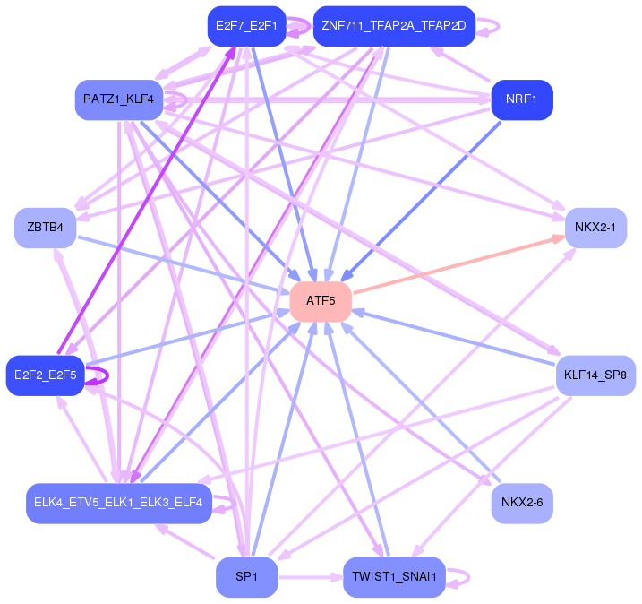 PNG image of the network