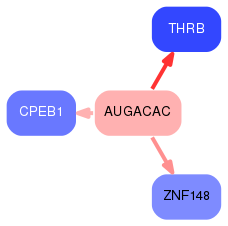 PNG image of the network