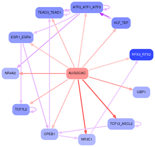 PNG image of the network