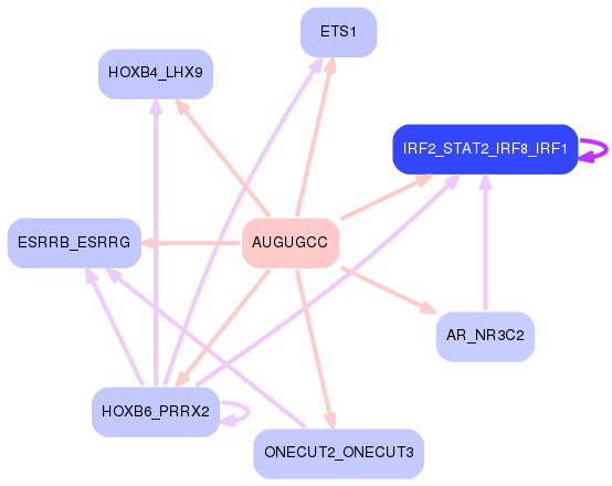 PNG image of the network
