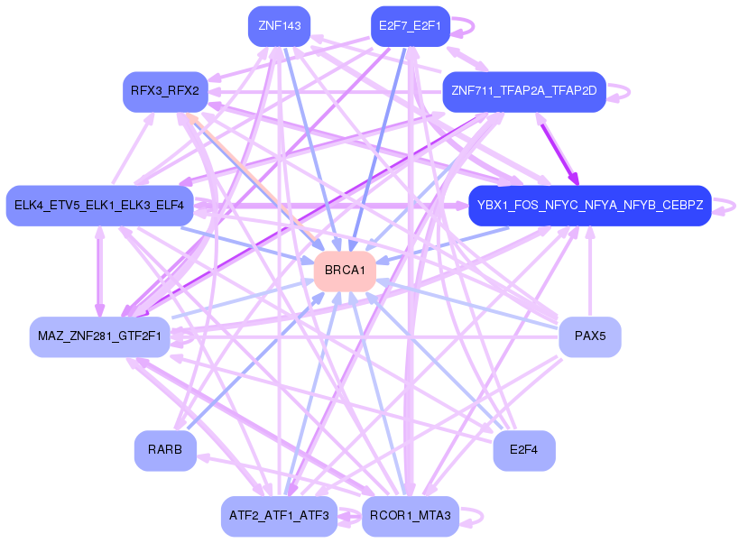 PNG image of the network