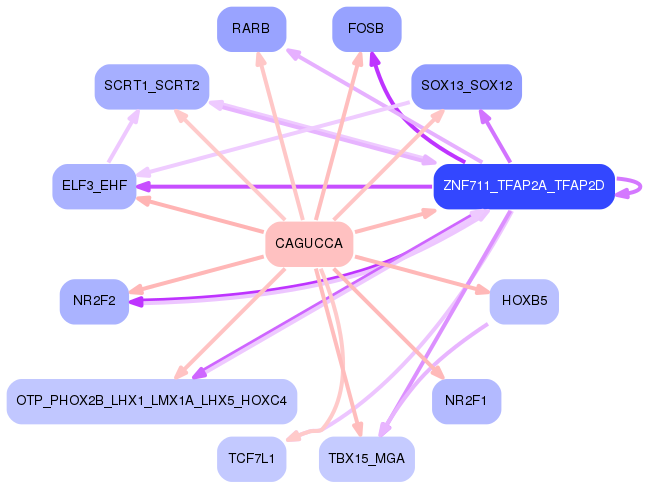 PNG image of the network