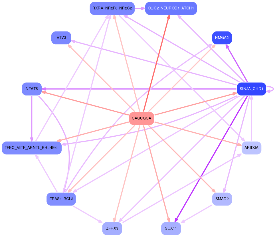 PNG image of the network
