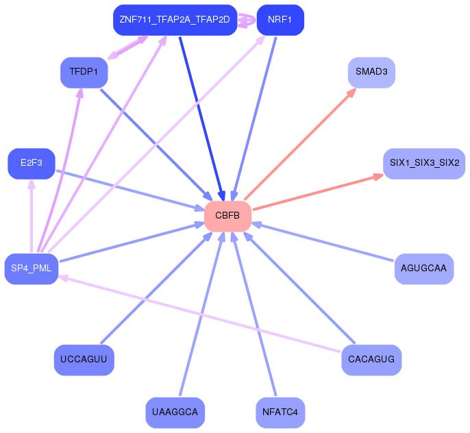 PNG image of the network