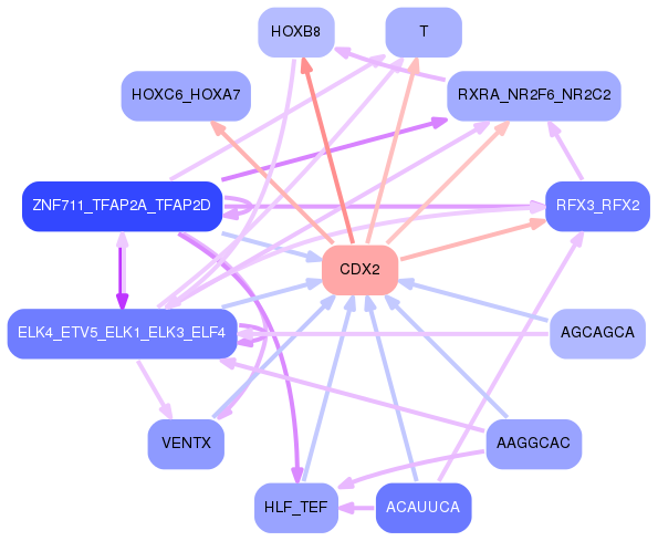 PNG image of the network