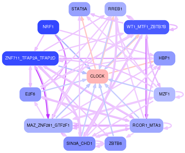 PNG image of the network