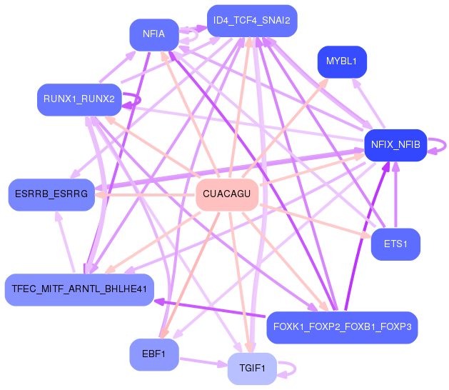 PNG image of the network