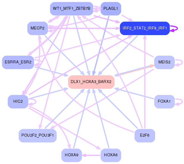 PNG image of the network