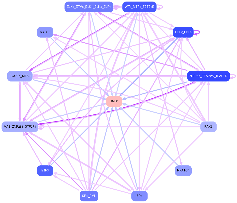 PNG image of the network