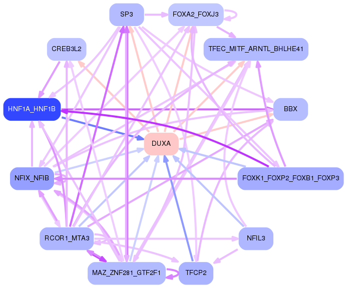 PNG image of the network