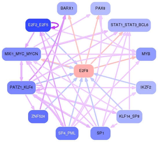 PNG image of the network
