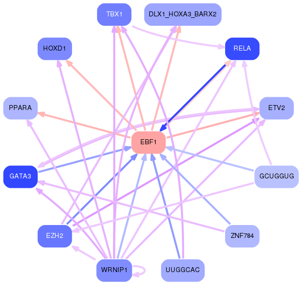 PNG image of the network
