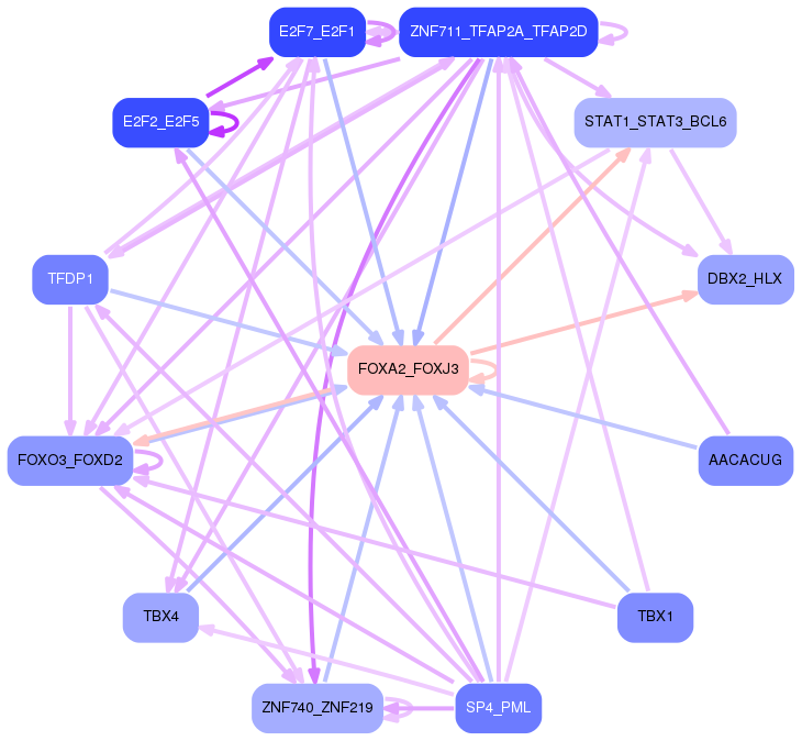 PNG image of the network