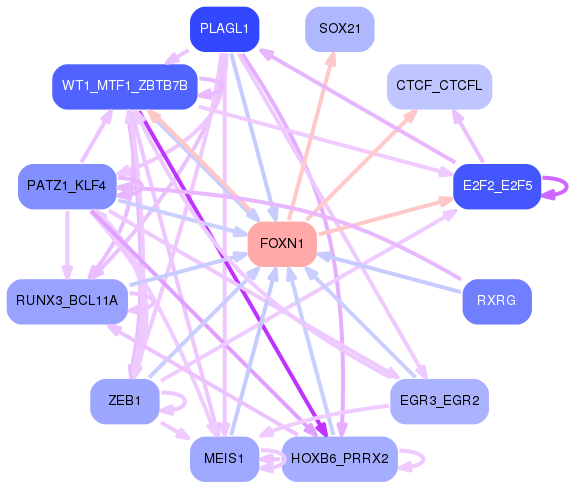 PNG image of the network