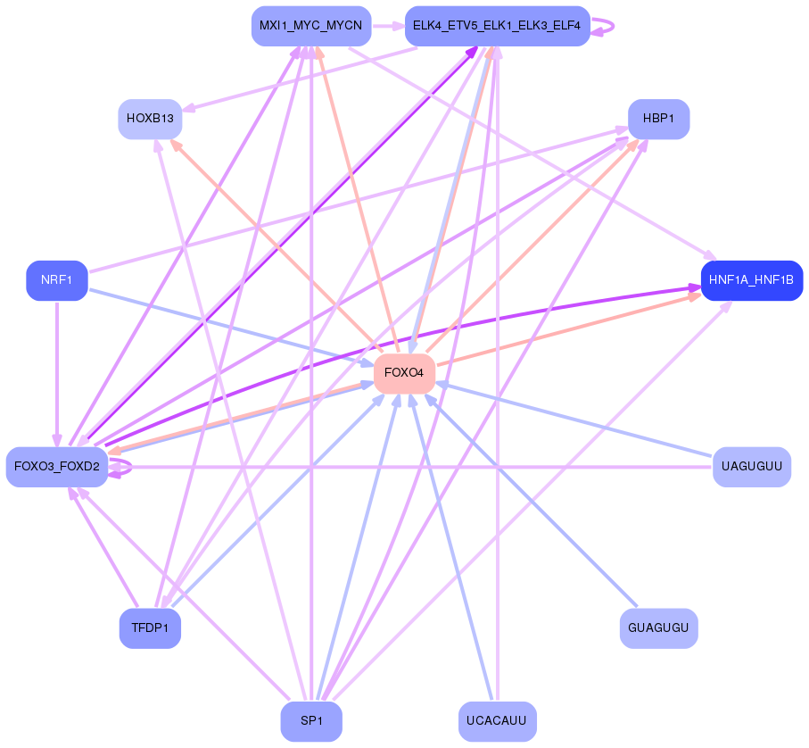 PNG image of the network