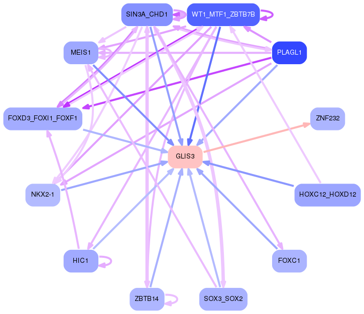 PNG image of the network