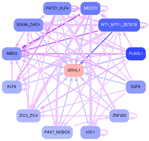 PNG image of the network
