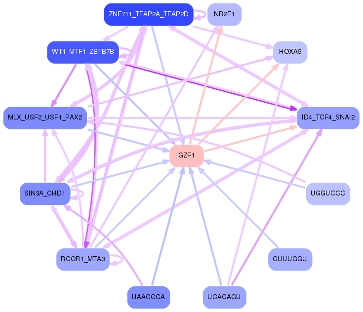PNG image of the network