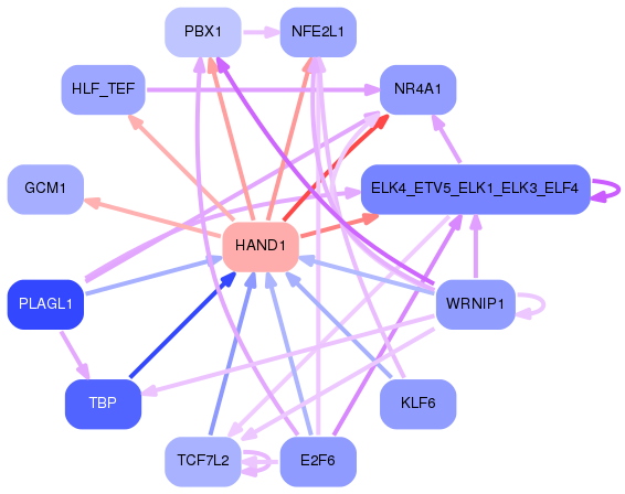 PNG image of the network