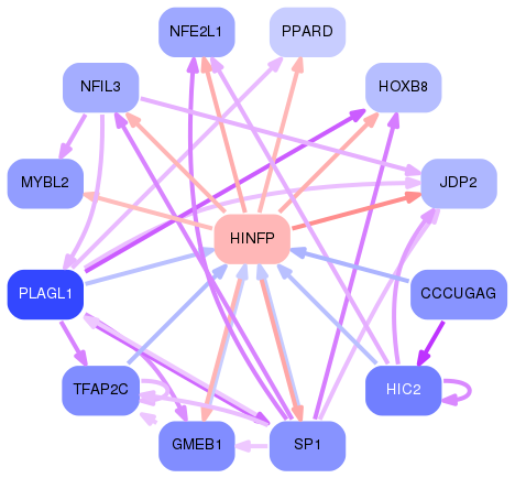 PNG image of the network