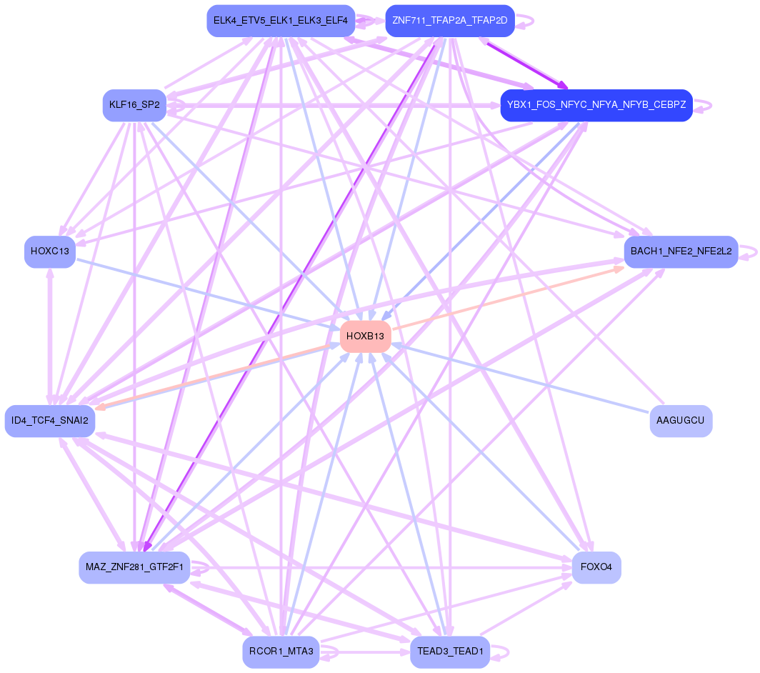 PNG image of the network