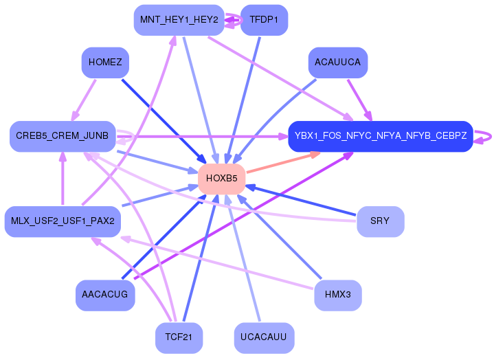 PNG image of the network