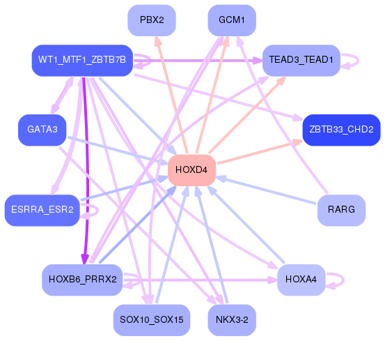 PNG image of the network