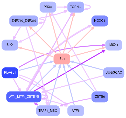 PNG image of the network