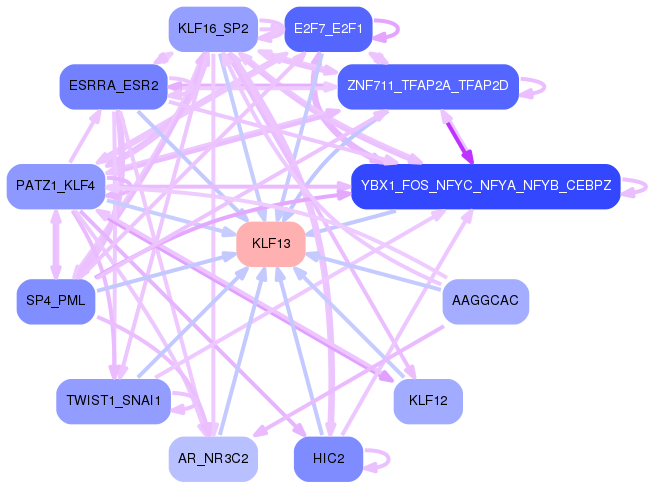 PNG image of the network