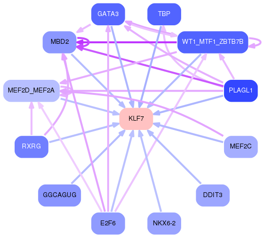 PNG image of the network