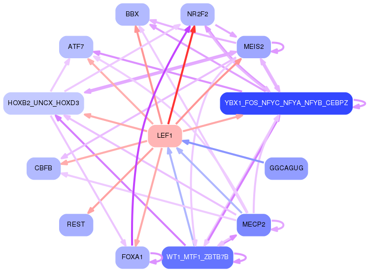 PNG image of the network