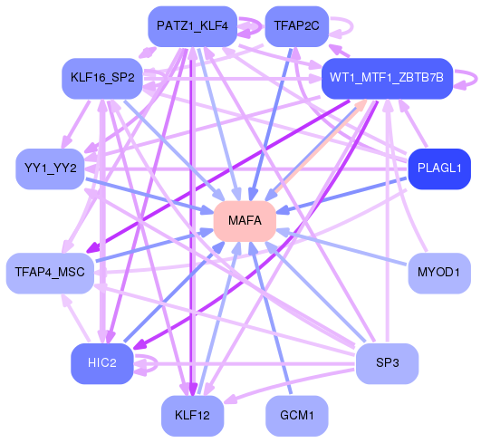 PNG image of the network