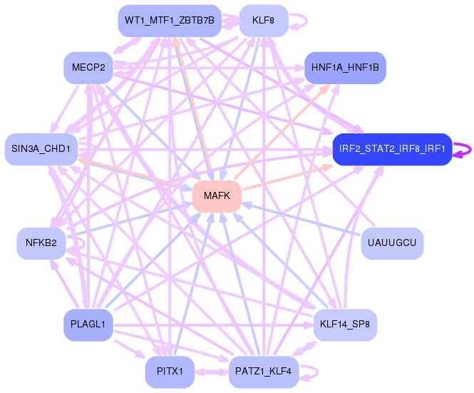 PNG image of the network
