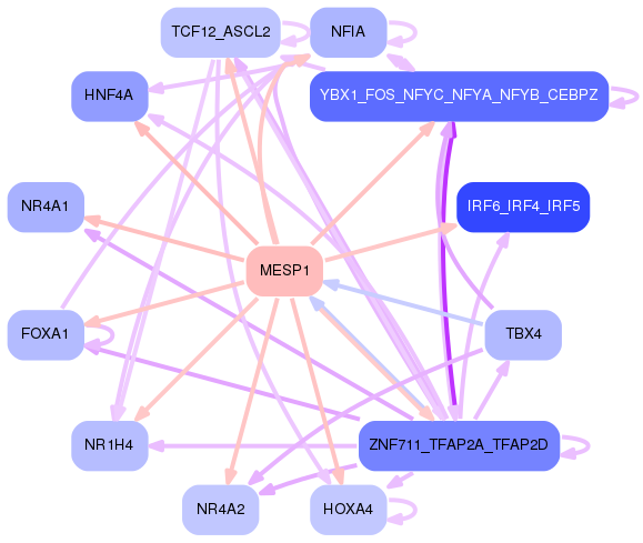 PNG image of the network