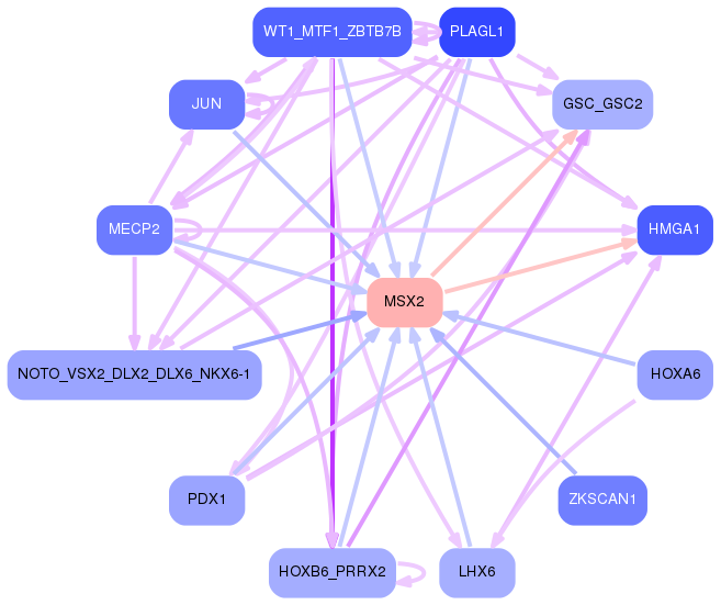 PNG image of the network
