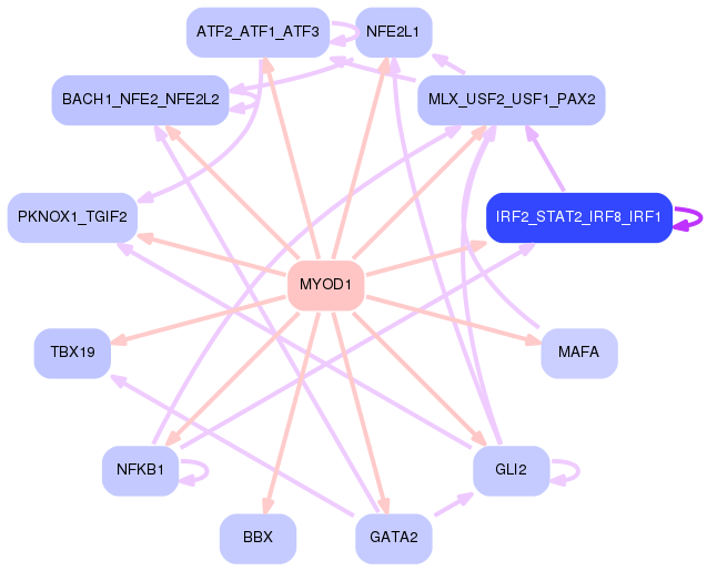 PNG image of the network