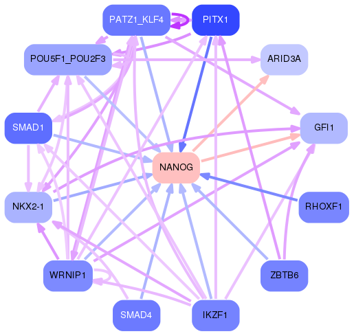 PNG image of the network