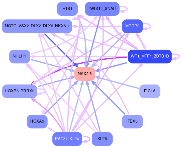 PNG image of the network