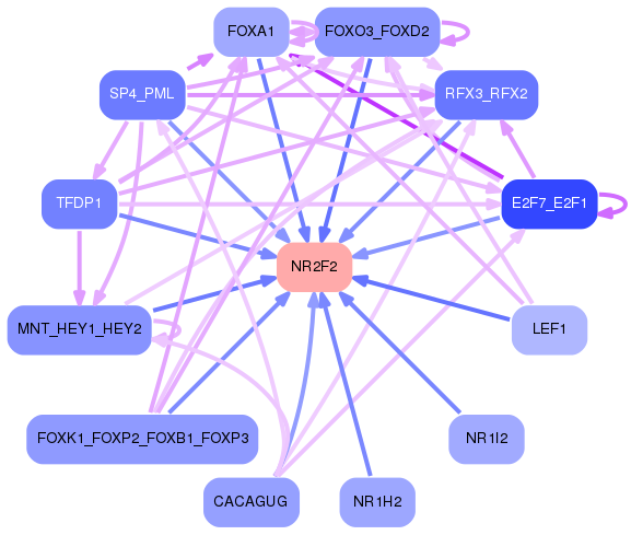 PNG image of the network