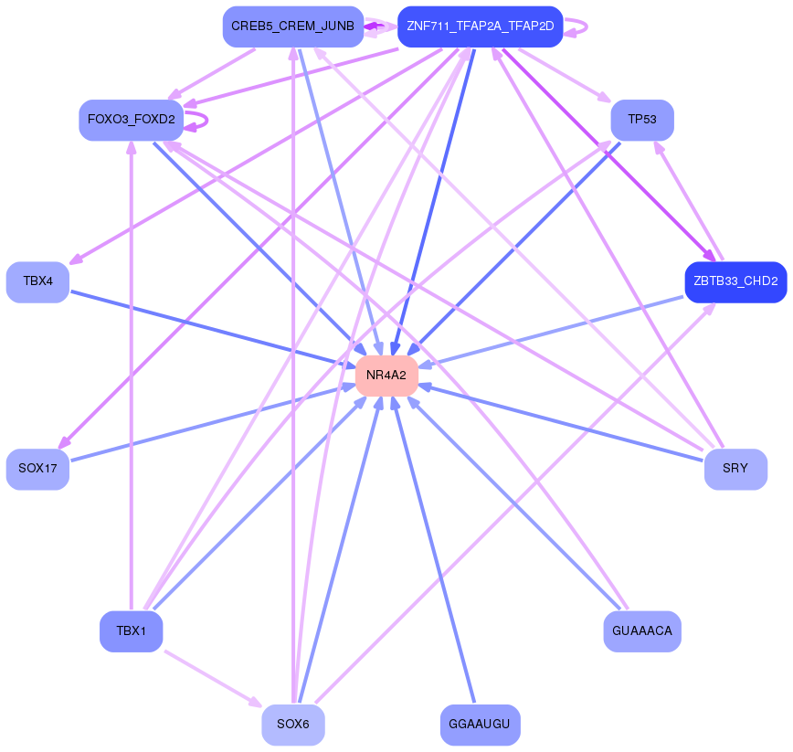 PNG image of the network