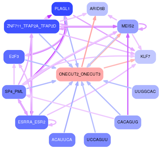 PNG image of the network