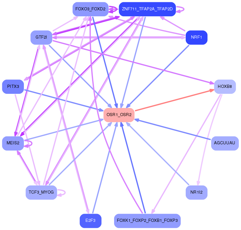 PNG image of the network