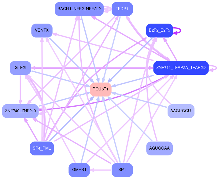 PNG image of the network
