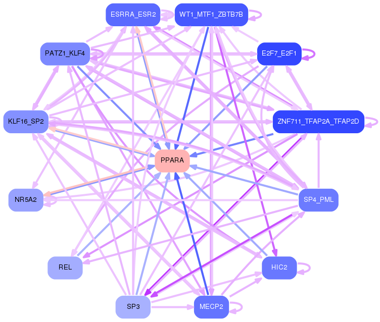 PNG image of the network