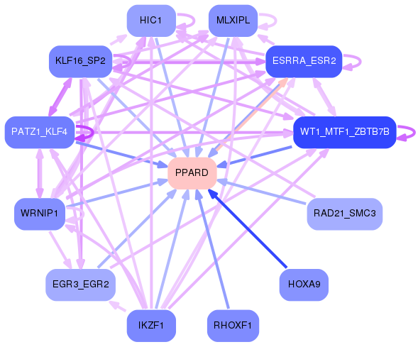 PNG image of the network