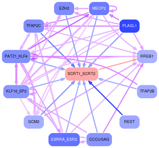 PNG image of the network