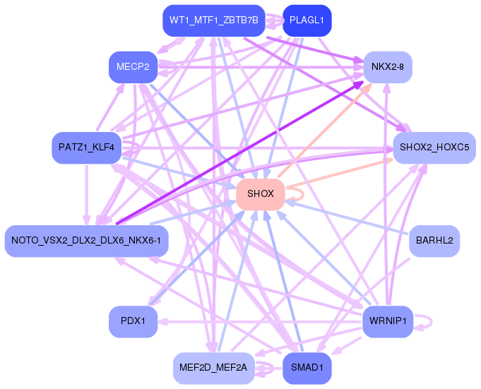 PNG image of the network