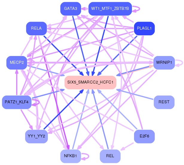 PNG image of the network